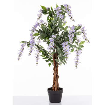 Drzewko Dekoracyjne Wisteria
