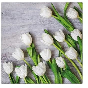 Pl Serwetki White Tulips