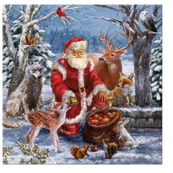 Pl Serwetki Santa’s Gifts