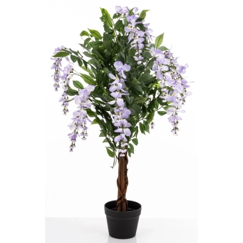 Drzewko Dekoracyjne Wisteria