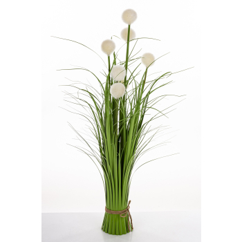 Roslina Dekoracyjna Led