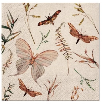 Pl Serwetki We Care Moths