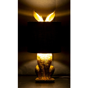 Lampa