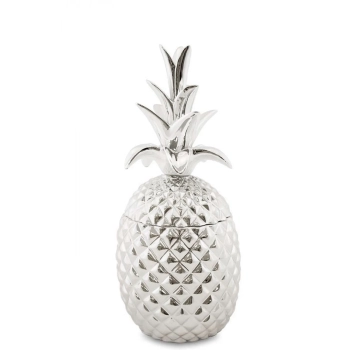 Pojemnik Ananas