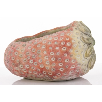 Osłonka