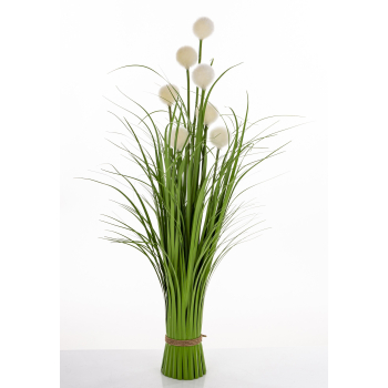 Roslina Dekoracyjna Led