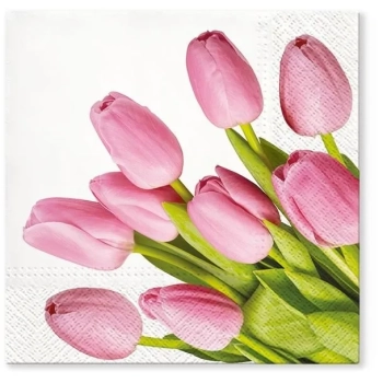 Pl Serwetki Lovely Tulips