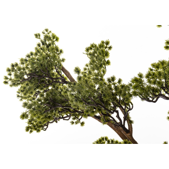 Sztuczne Drzewko Bonsai 4Cz.