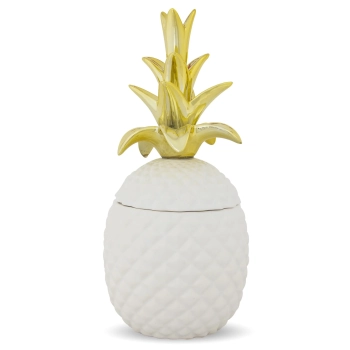 Pojemnik Ananas
