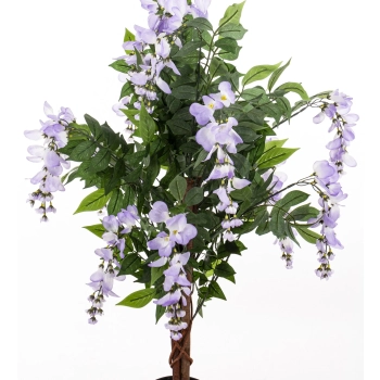 Drzewko Dekoracyjne Wisteria