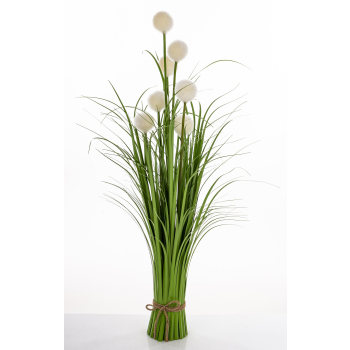 Roslina Dekoracyjna Led