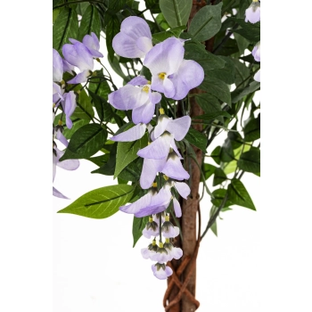 Drzewko Dekoracyjne Wisteria