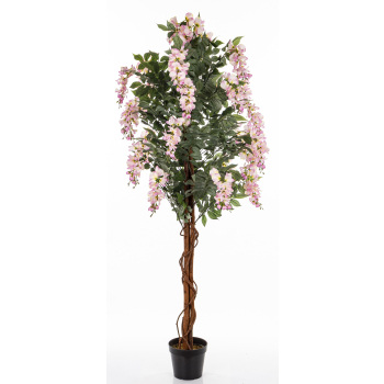 Drzewko Dekoracyjne Wisteria
