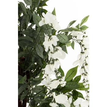 Drzewko Dekoracyjne Wisteria