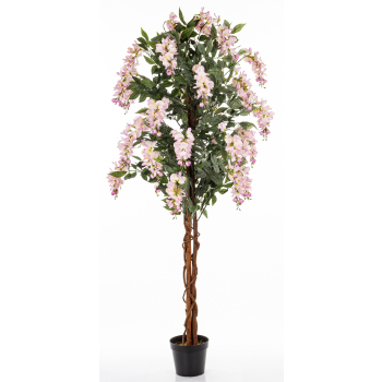 Drzewko Dekoracyjne Wisteria
