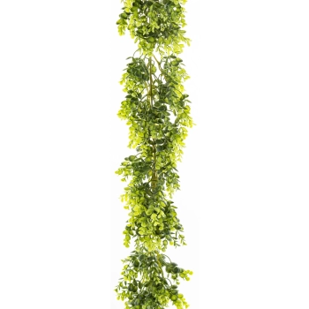 Girlanda