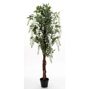 Drzewko Dekoracyjne Wisteria