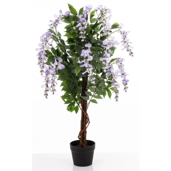 Drzewko Dekoracyjne Wisteria