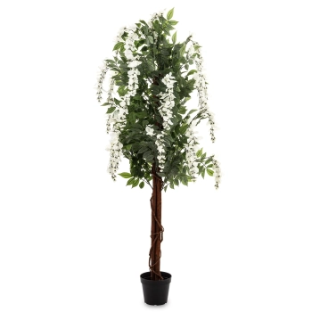 Drzewko Dekoracyjne Wisteria