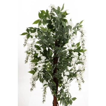 Drzewko Dekoracyjne Wisteria
