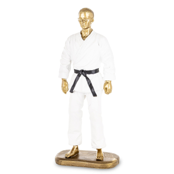 Figurka Meżczyzna Karateka