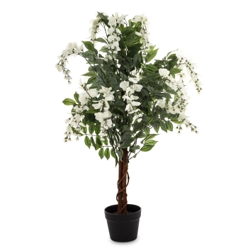 Drzewko Dekoracyjne Wisteria