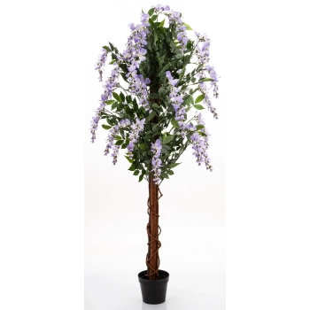 Drzewko Dekoracyjne Wisteria