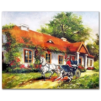 Obraz