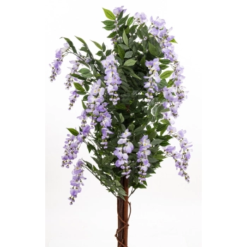 Drzewko Dekoracyjne Wisteria