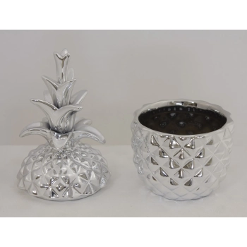 Pojemnik Ananas