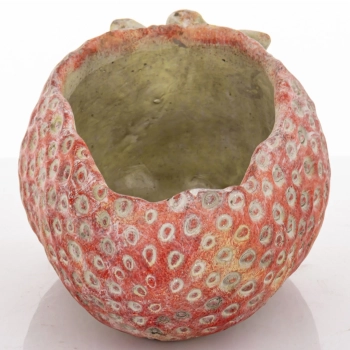 Osłonka