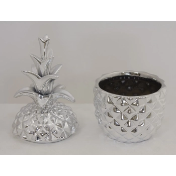 Pojemnik Ananas