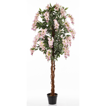 Drzewko Dekoracyjne Wisteria