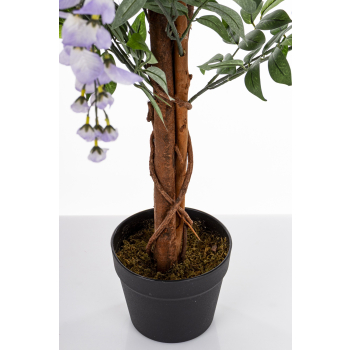 Drzewko Dekoracyjne Wisteria