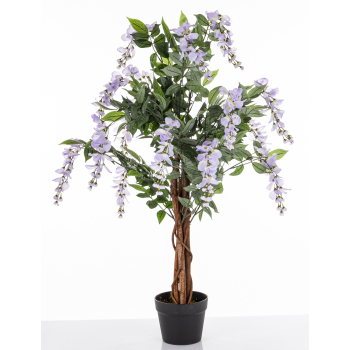 Drzewko Dekoracyjne Wisteria