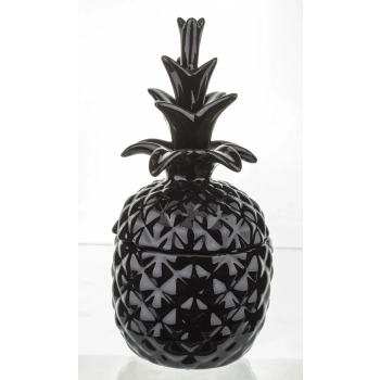 Pojemnik Ananas