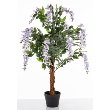 Drzewko Dekoracyjne Wisteria