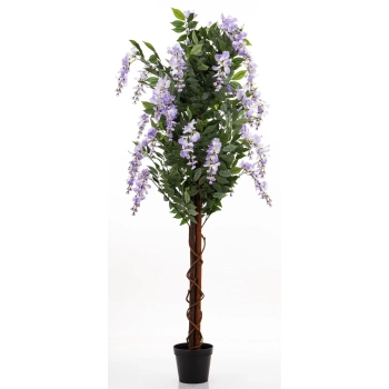 Drzewko Dekoracyjne Wisteria