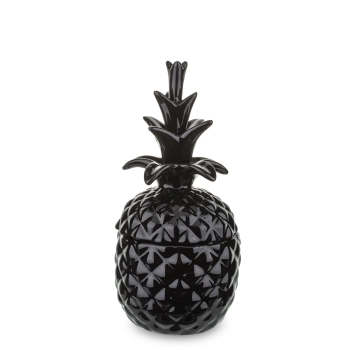 Pojemnik Ananas