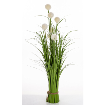 Roslina Dekoracyjna Led