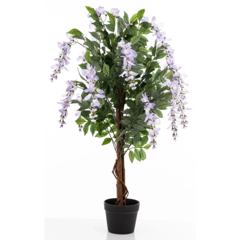 Drzewko Dekoracyjne Wisteria