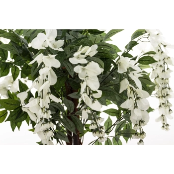 Drzewko Dekoracyjne Wisteria
