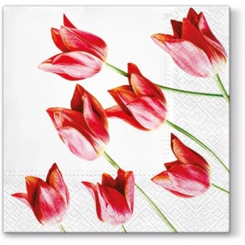 Pl Serwetki Red Tulips-Prom.