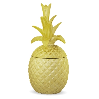 Pojemnik Ananas
