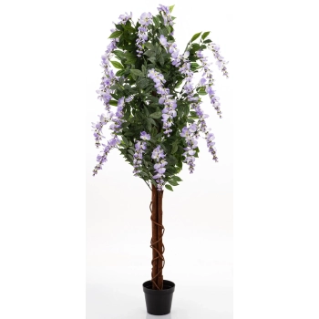 Drzewko Dekoracyjne Wisteria