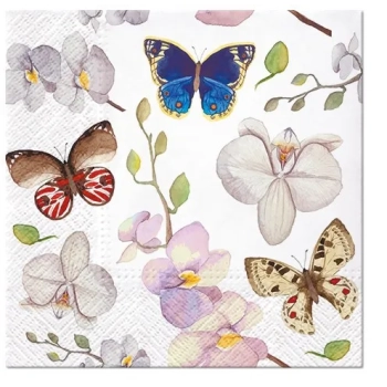 Pl Serwetki Orchidea Butterfly