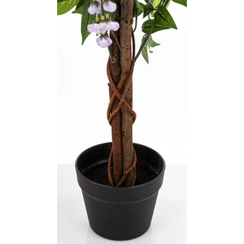 Drzewko Dekoracyjne Wisteria