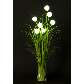 Roslina Dekoracyjna Led