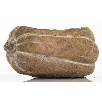Osłonka