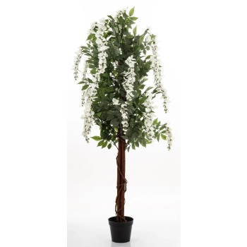 Drzewko Dekoracyjne Wisteria